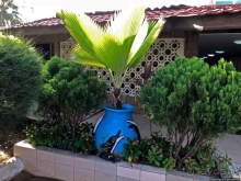 Отели Того и Бенина. 