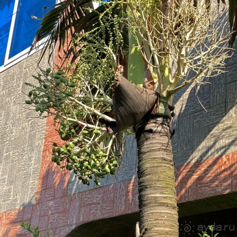 Отели Того и Бенина. 