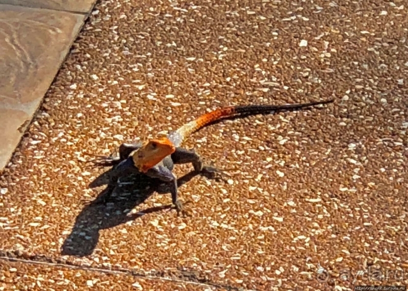 Отели Того и Бенина. 