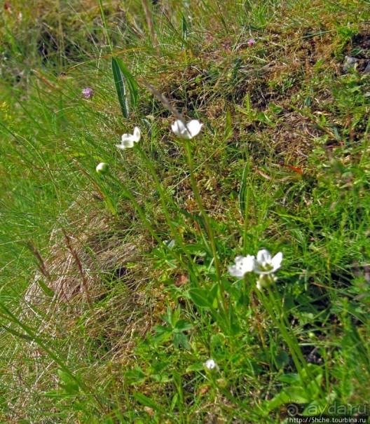 Маленькие реки " Маленькой Исландии"