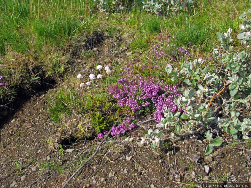 Маленькие реки " Маленькой Исландии"