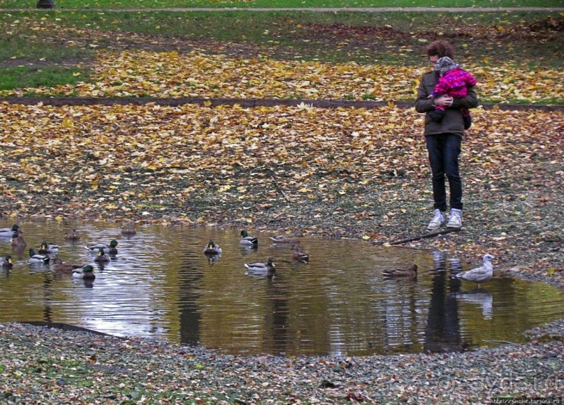Какой же дворец без парка?