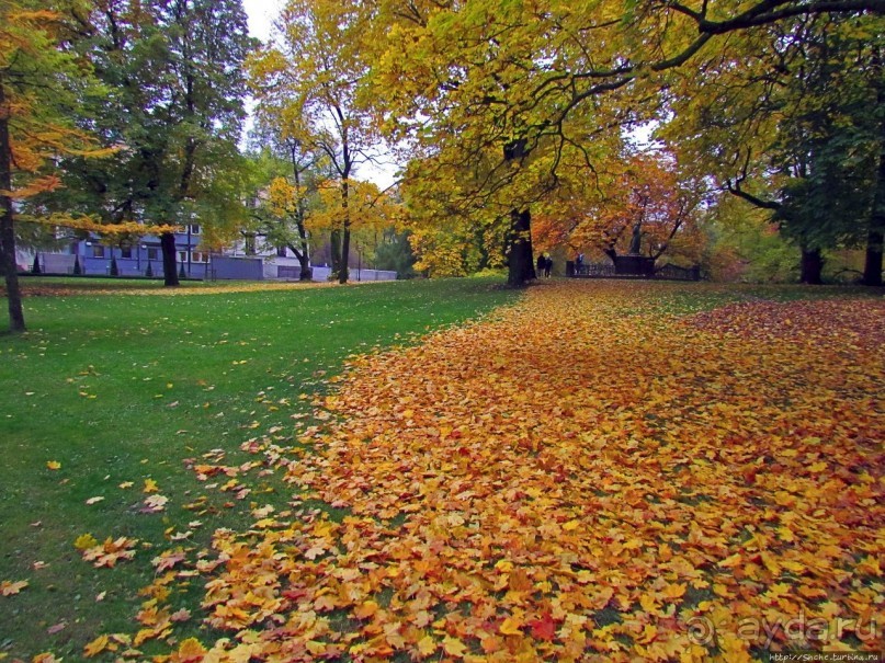 Какой же дворец без парка?