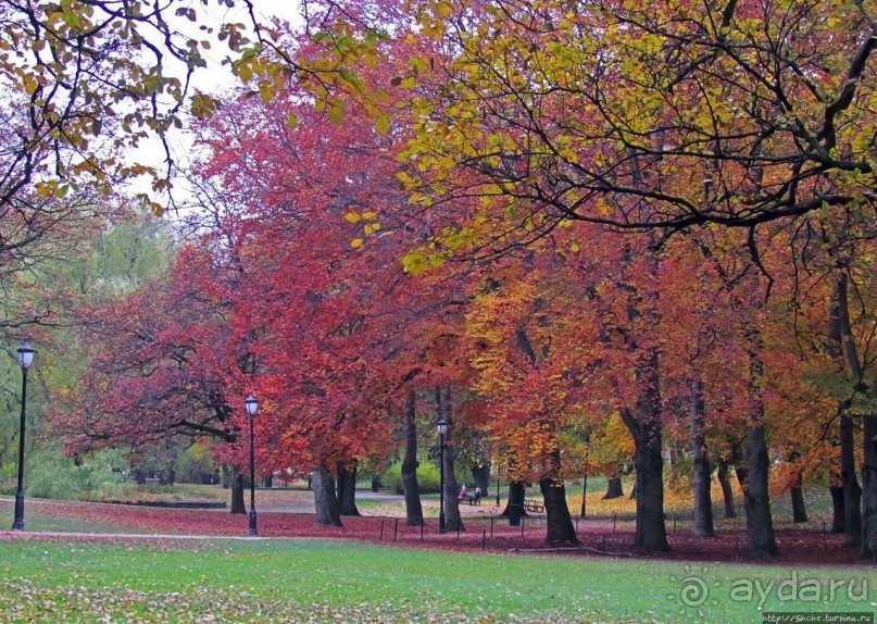 Какой же дворец без парка?