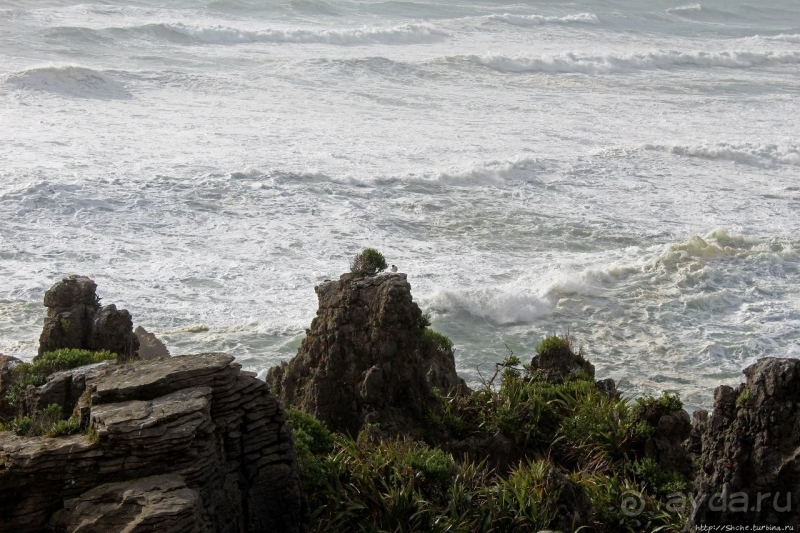 Pancake Rocks — последние секреты природы
