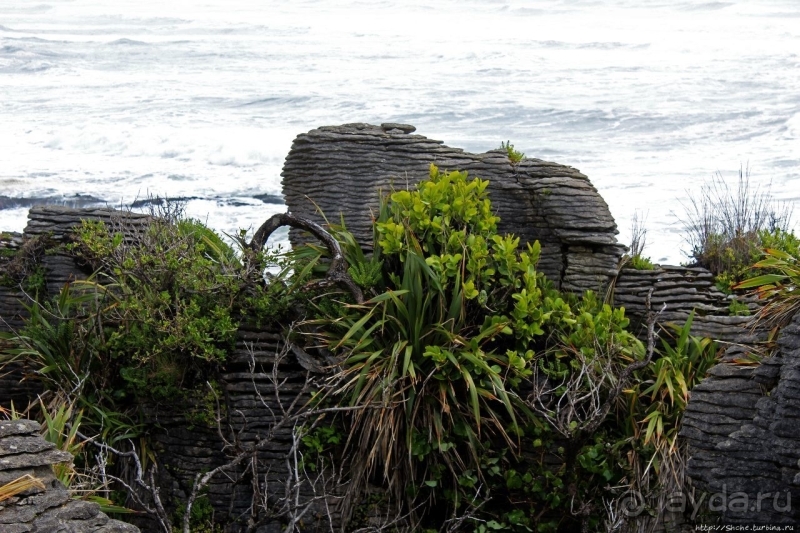 Pancake Rocks — последние секреты природы