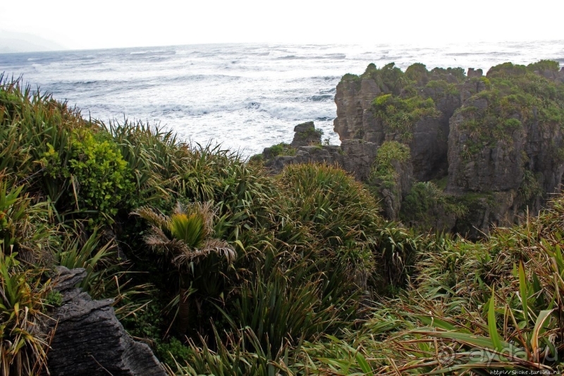 Pancake Rocks — последние секреты природы