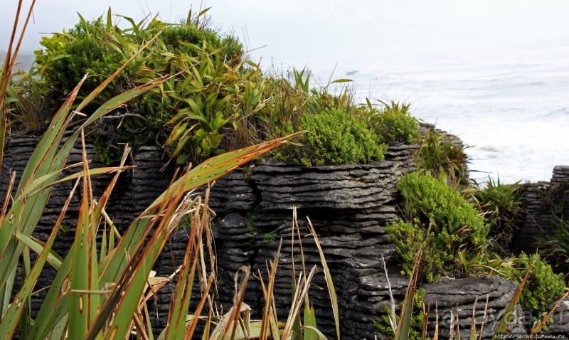 Pancake Rocks — последние секреты природы