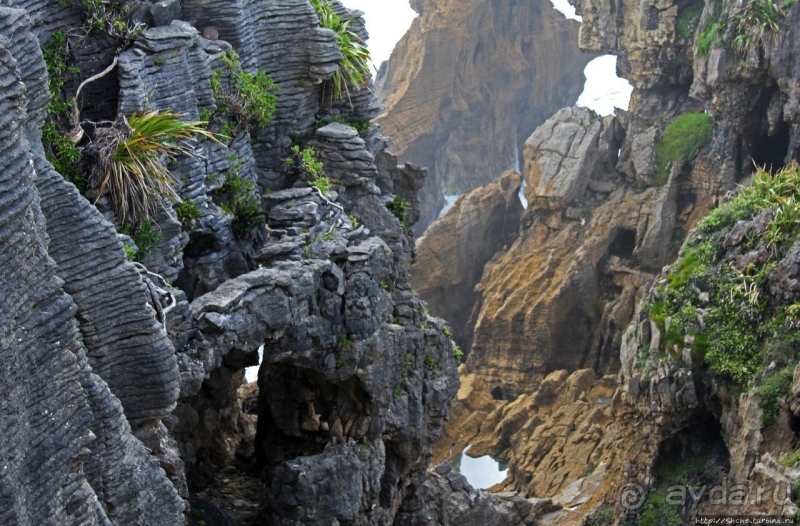 Pancake Rocks — последние секреты природы