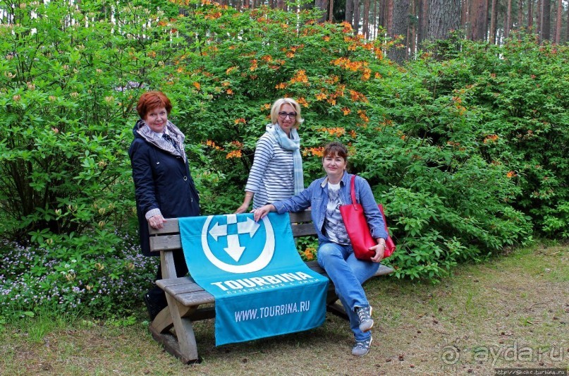Рододендронщина. Ярких летних красок нам в первый день зимы