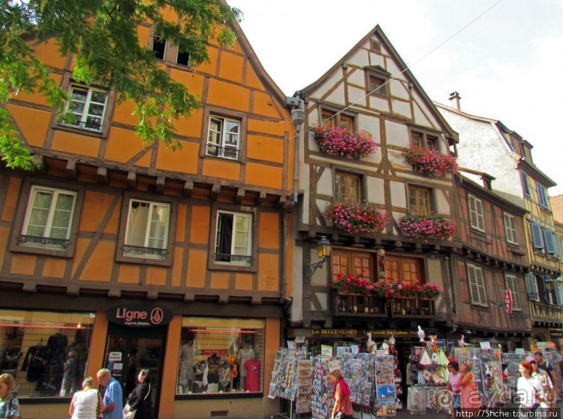 Утопающий в цветах...