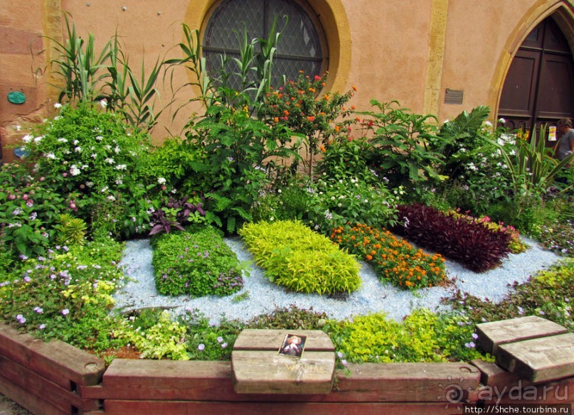 Утопающий в цветах...