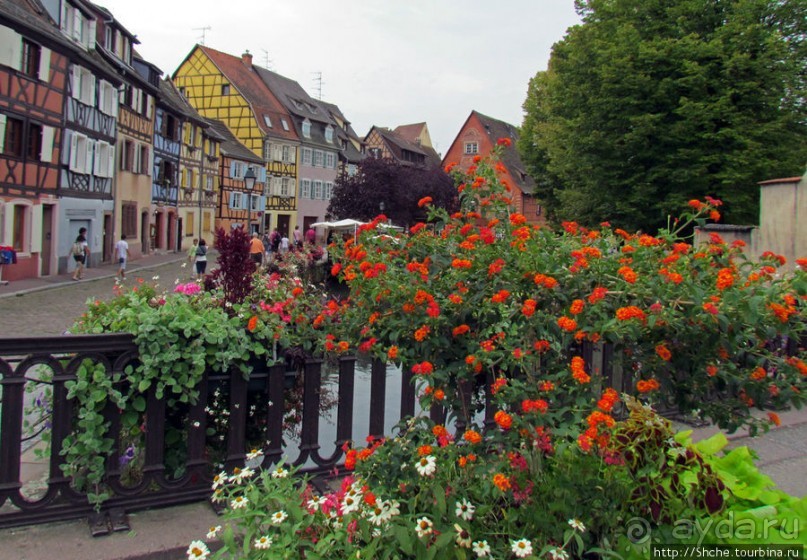 Утопающий в цветах...