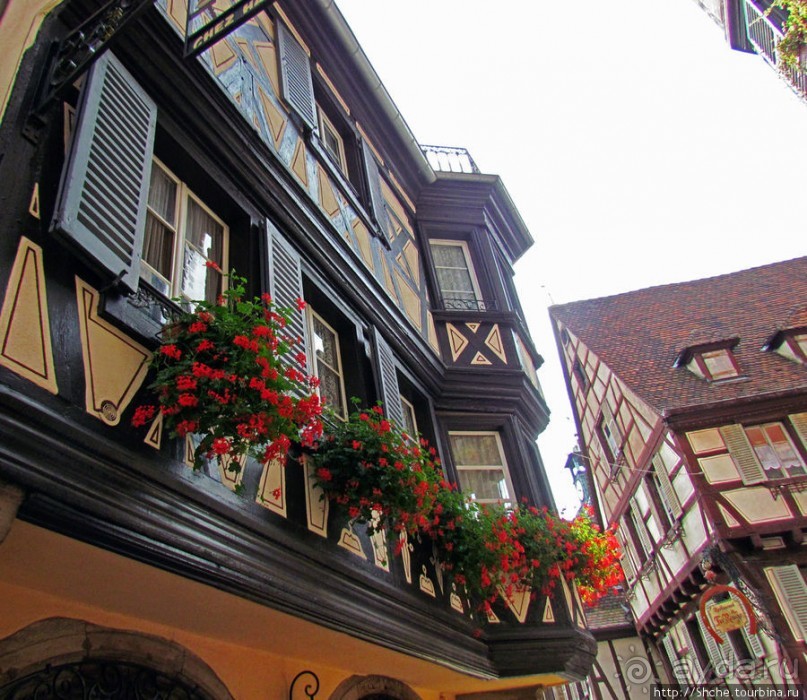 Утопающий в цветах...