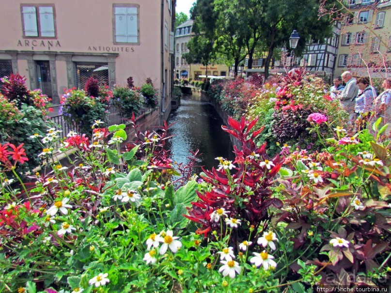 Утопающий в цветах...