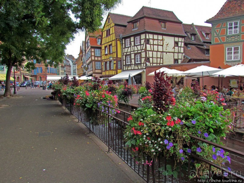 Утопающий в цветах...