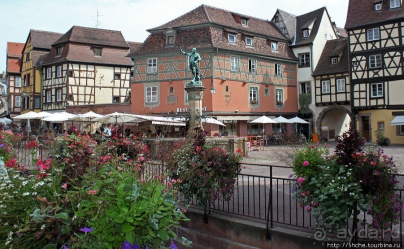 Утопающий в цветах...