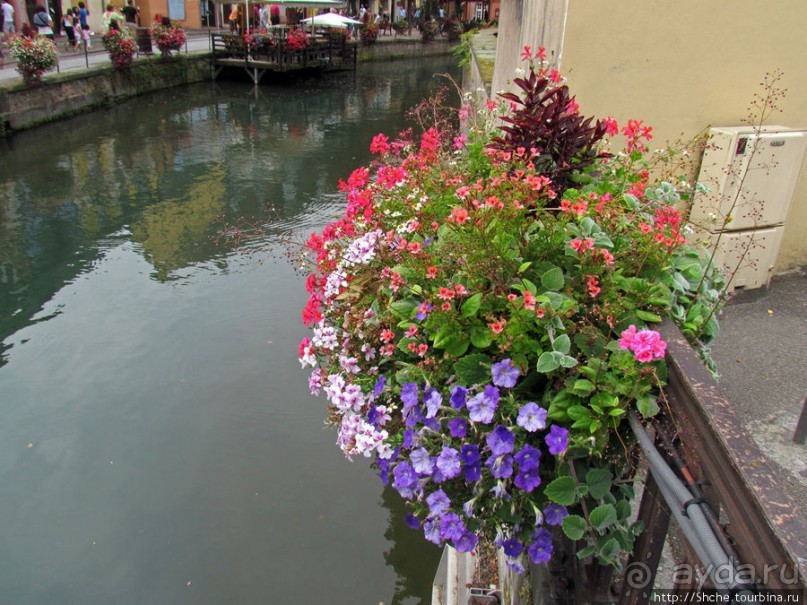 Утопающий в цветах...