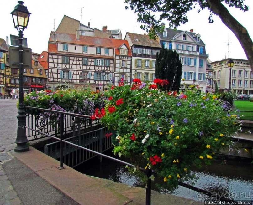 Утопающий в цветах...