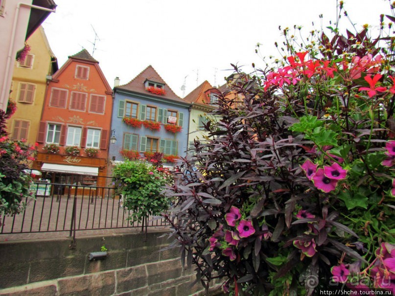 Утопающий в цветах...