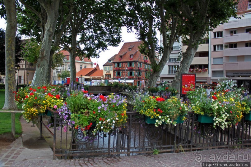 Утопающий в цветах...