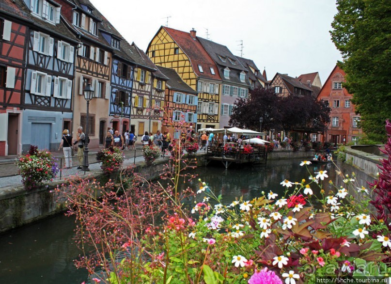 Утопающий в цветах...