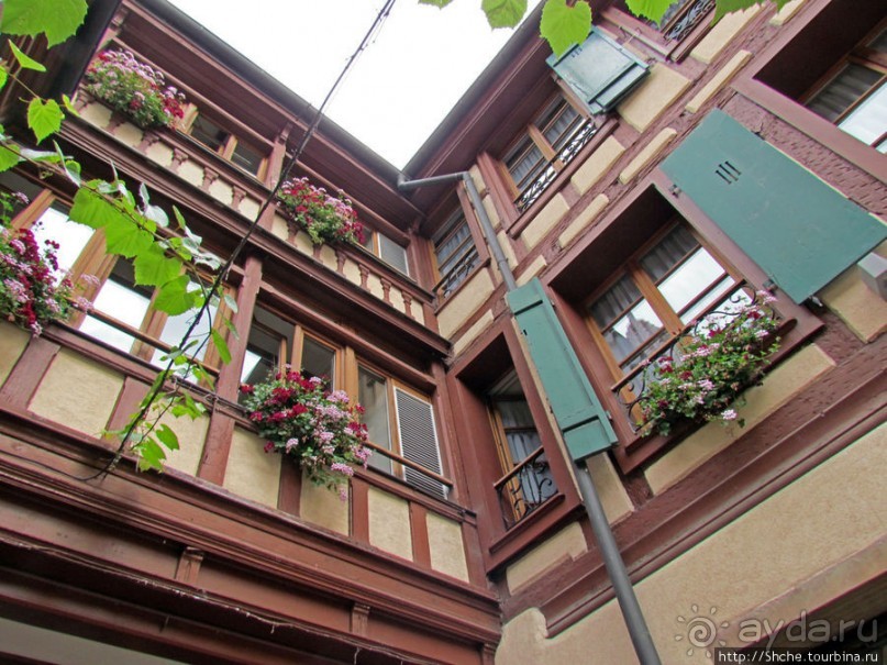 Утопающий в цветах...