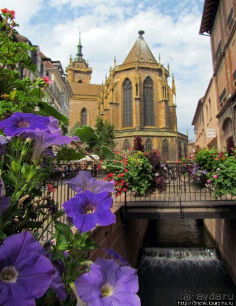 Утопающий в цветах...