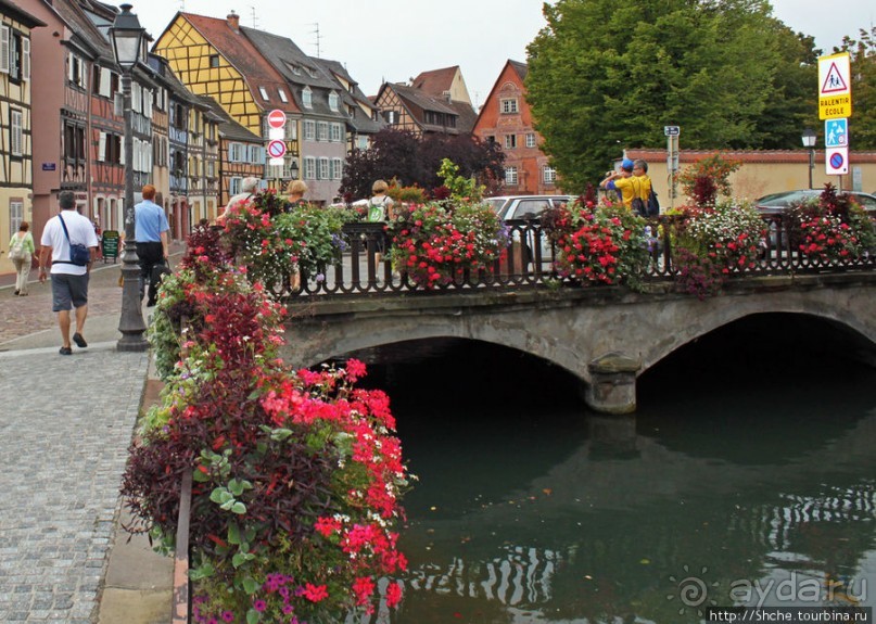 Утопающий в цветах...