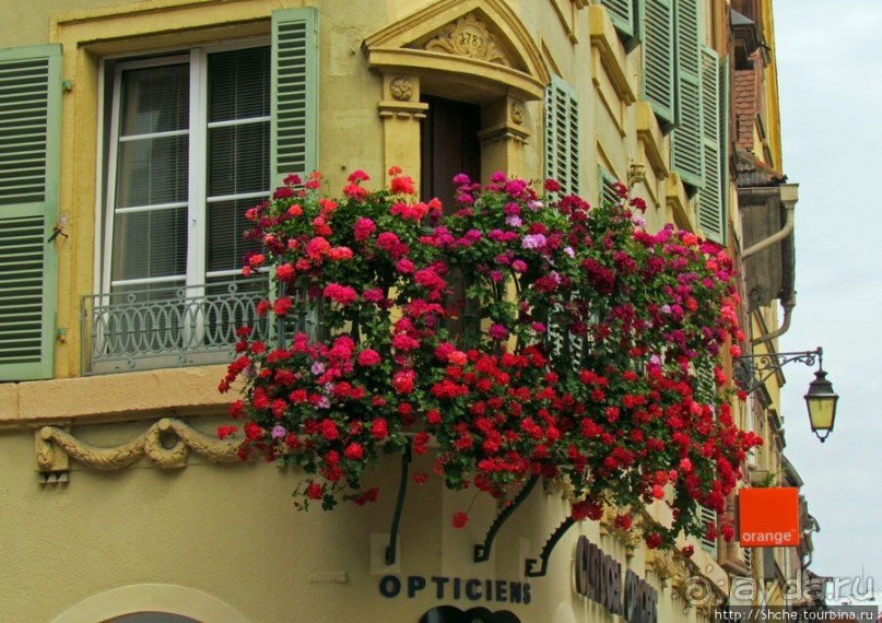 Утопающий в цветах...