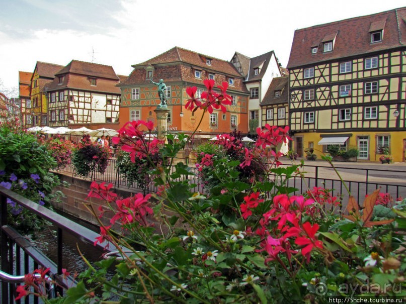 Утопающий в цветах...