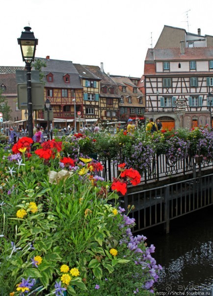 Утопающий в цветах...