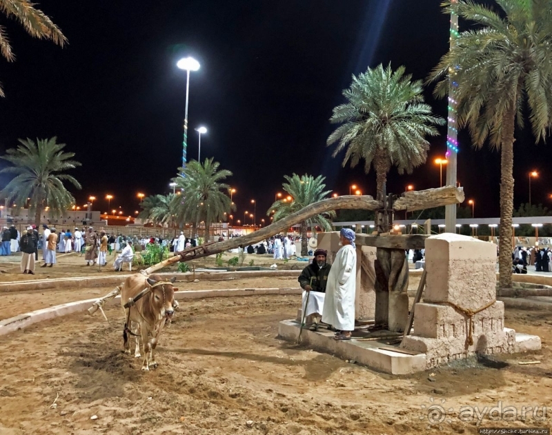 Этнографический Muscat Festival в пригороде столицы Омана