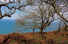 Прогулка по северо-восточному побережью Джерси