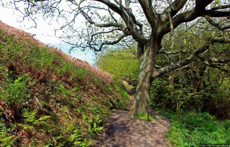 Прогулка по северо-восточному побережью Джерси