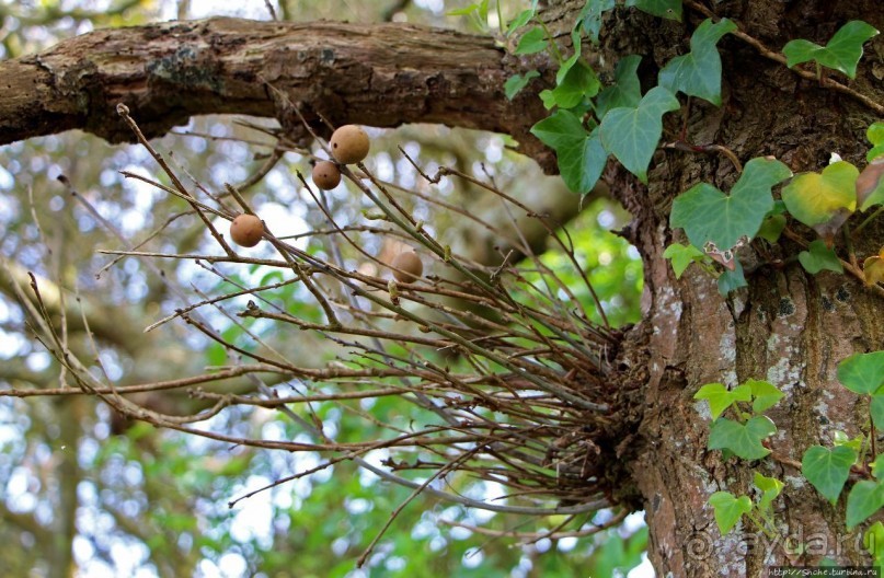 Прогулка по северо-восточному побережью Джерси