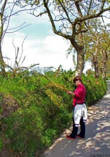 Прогулка по северо-восточному побережью Джерси