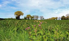 Прогулка по северо-восточному побережью Джерси