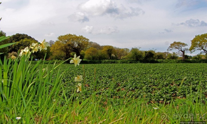 Прогулка по северо-восточному побережью Джерси