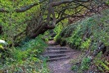 Прогулка по северо-восточному побережью Джерси