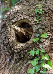 Прогулка по северо-восточному побережью Джерси