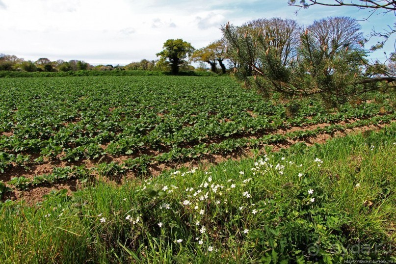 Прогулка по северо-восточному побережью Джерси