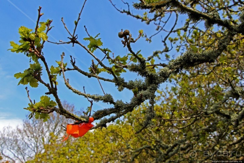 Прогулка по северо-восточному побережью Джерси