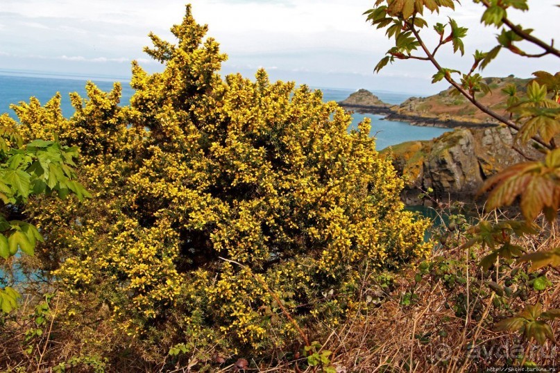 Прогулка по северо-восточному побережью Джерси