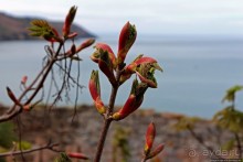 Прогулка по северо-восточному побережью Джерси