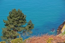 Прогулка по северо-восточному побережью Джерси