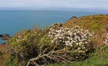 Прогулка по северо-восточному побережью Джерси