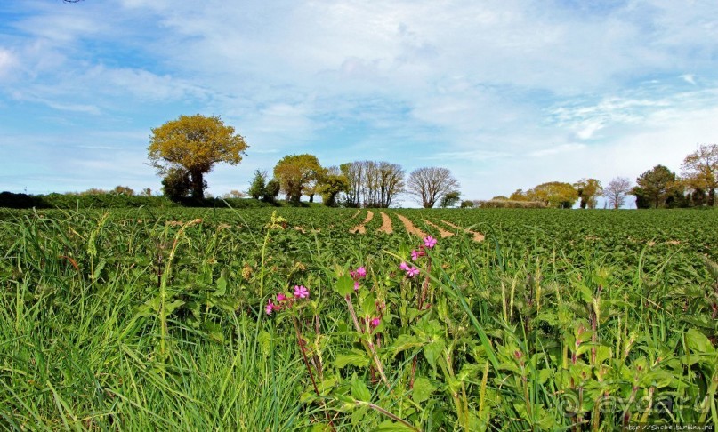 Прогулка по северо-восточному побережью Джерси