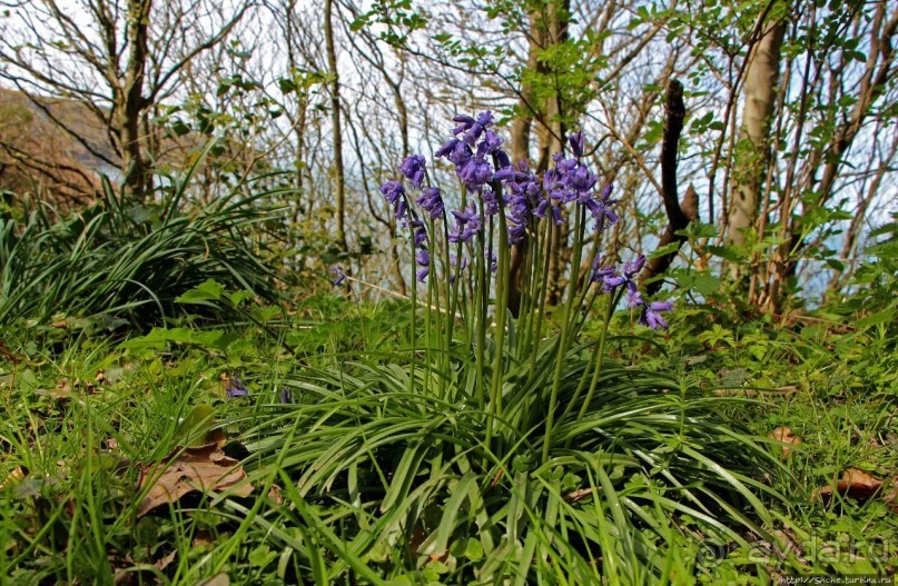 Прогулка по северо-восточному побережью Джерси