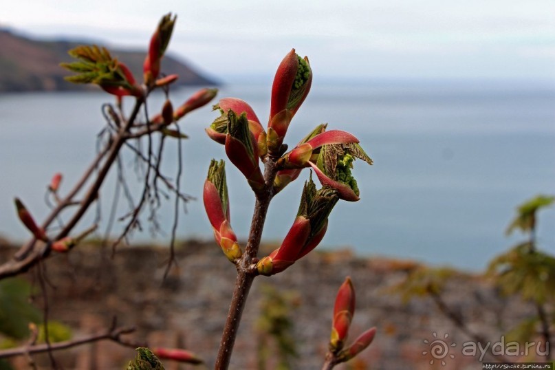 Прогулка по северо-восточному побережью Джерси